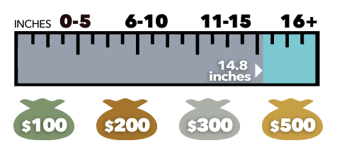 Rhinelander Snow Days Calcuator