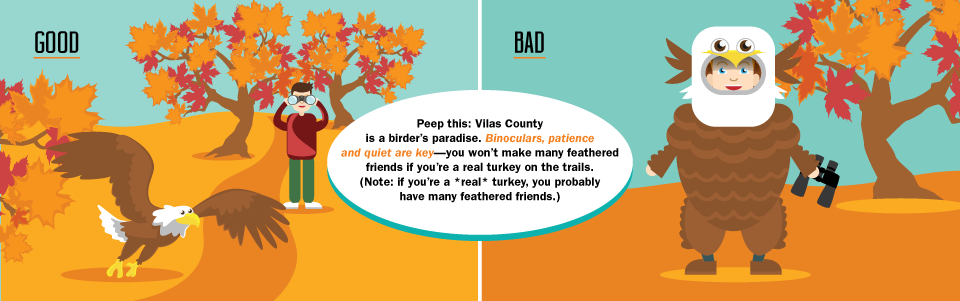 Peep this: Vilas County is a birder’s paradise. Binoculars, patience and quiet are key—you won’t make many feathered friends if you’re a real turkey on the trails. (Note: if you’re a *real* turkey, you probablyhave many feathered friends.)